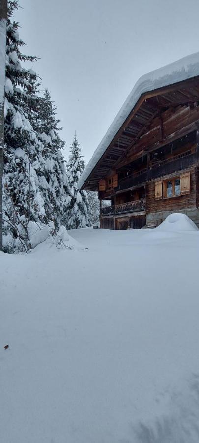 Charmieux Appartement En Chalet Typique Le Grand-Bornand Exterior photo